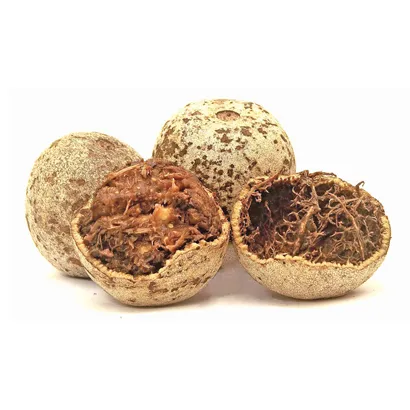 Wood Apple Big Size (Kodbel)